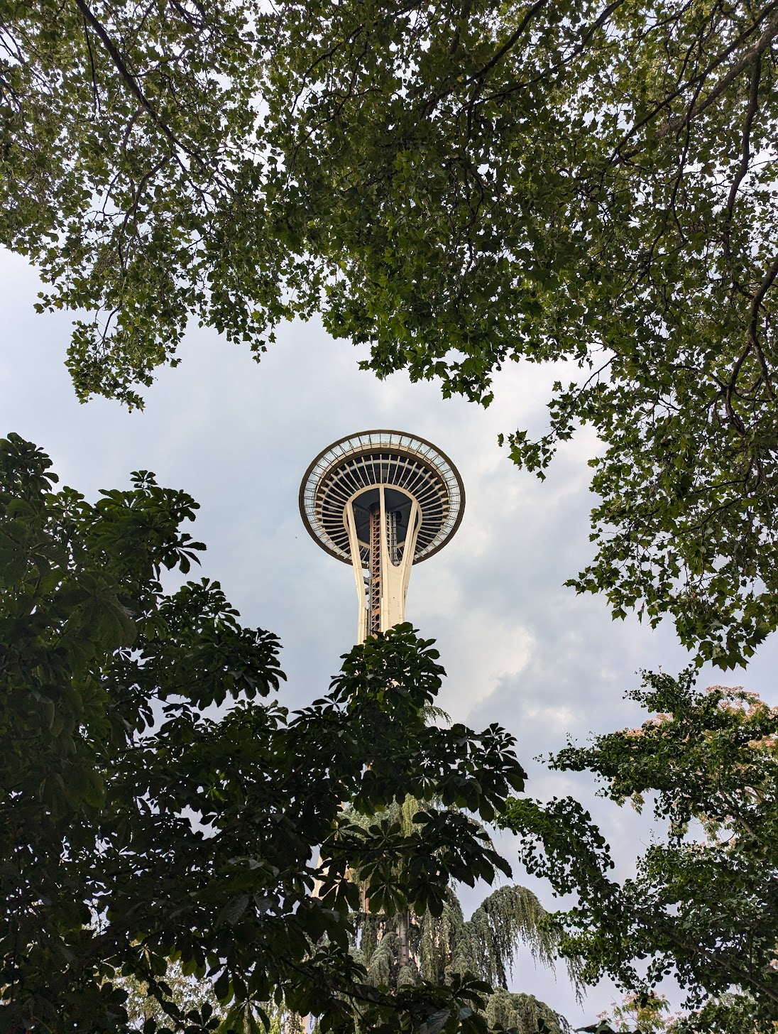 Photography by Steven Enriquez