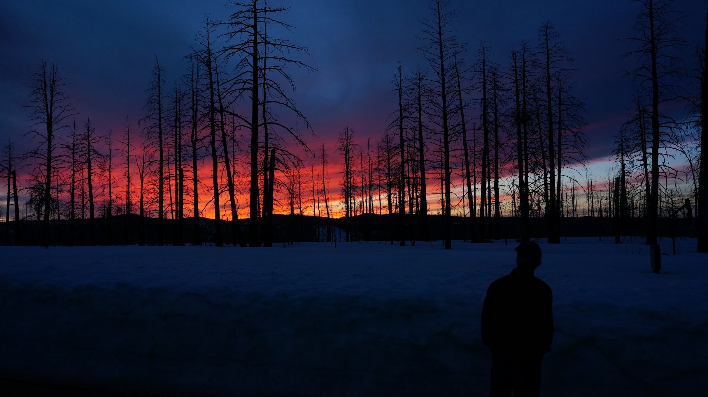 Photography by Steven Enriquez