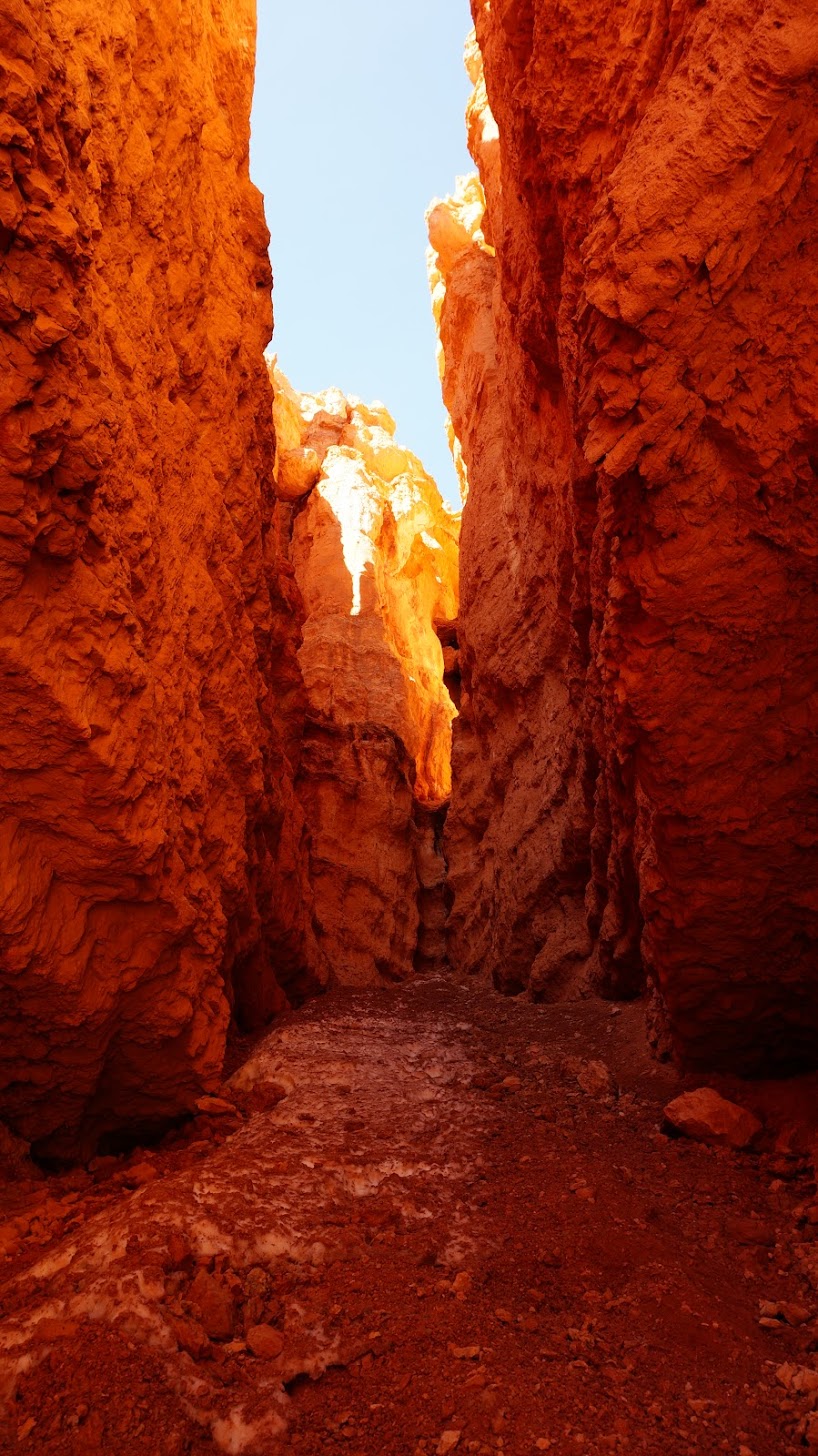 Photography by Steven Enriquez