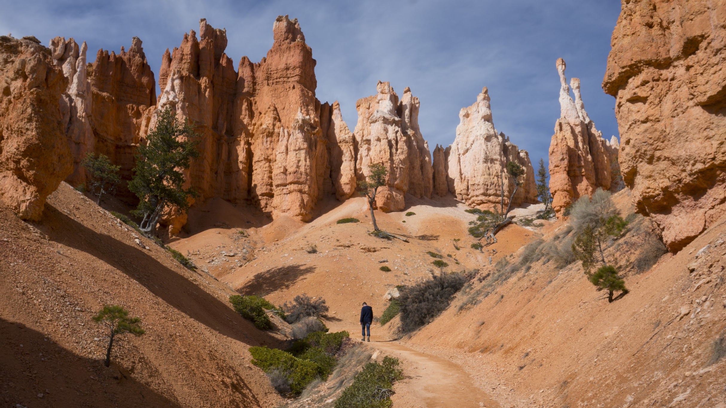 Photography by Steven Enriquez