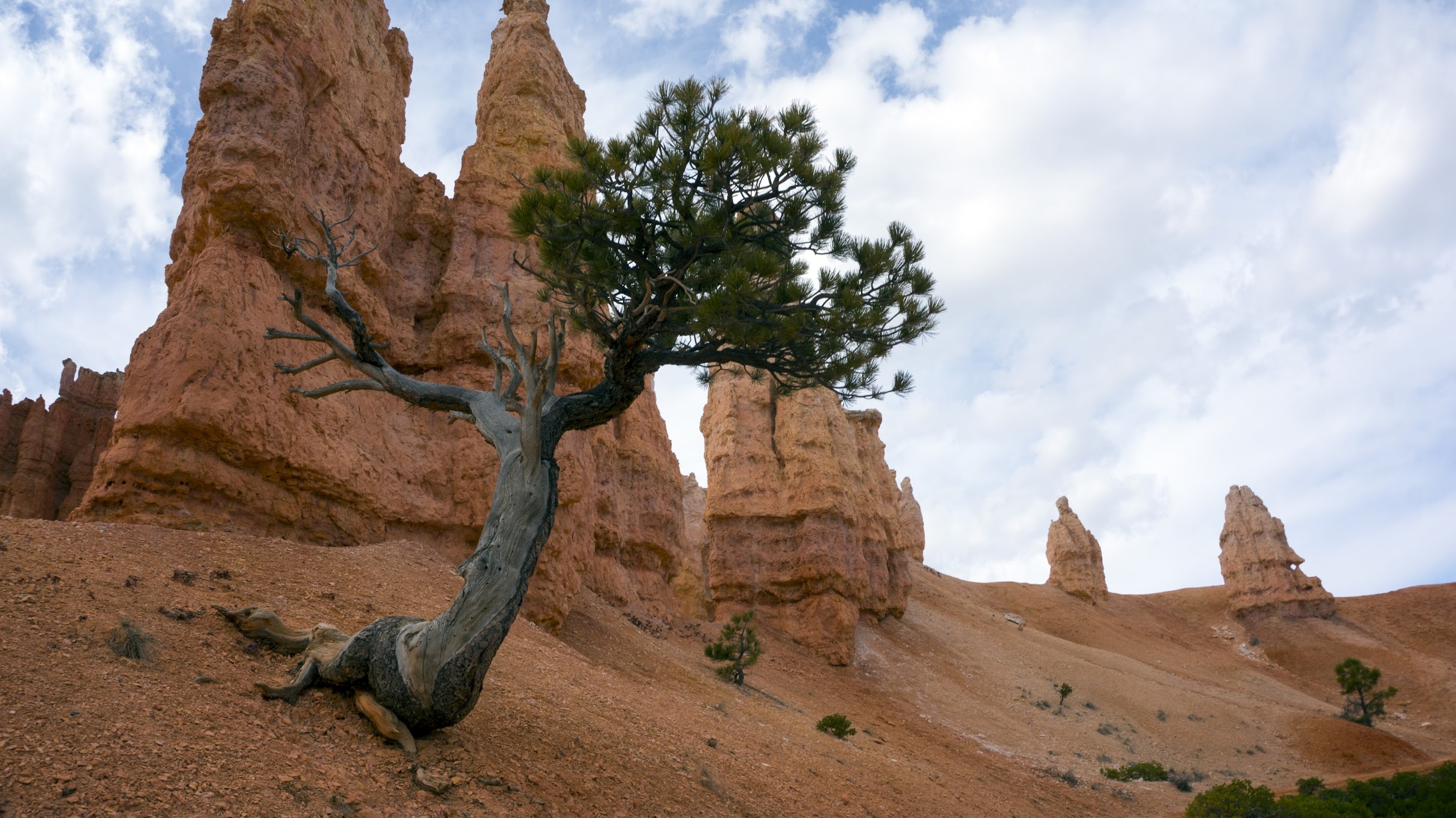 Photography by Steven Enriquez